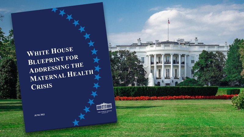 white house image on maternal health